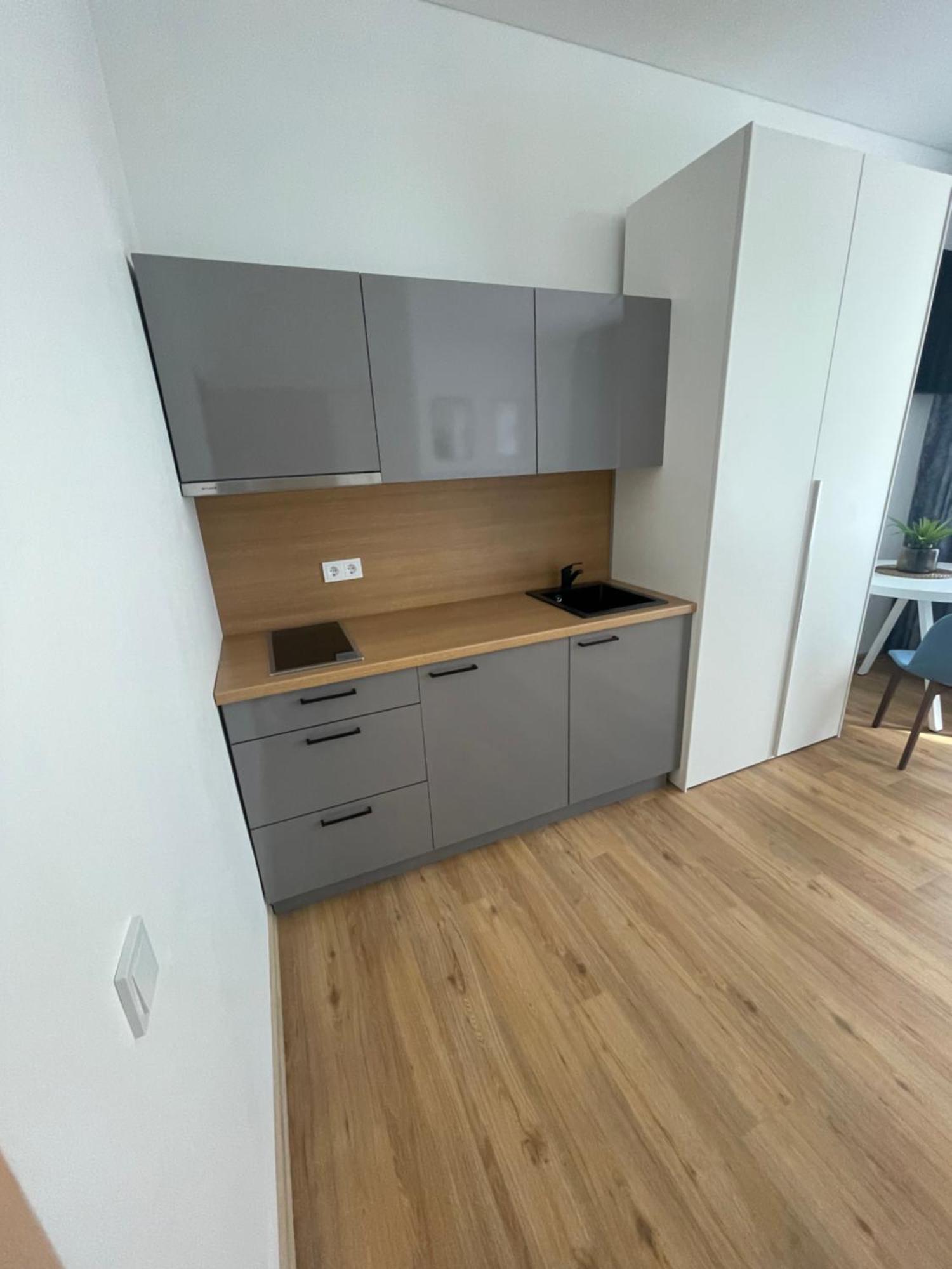 River House City Center Kaunas Dış mekan fotoğraf